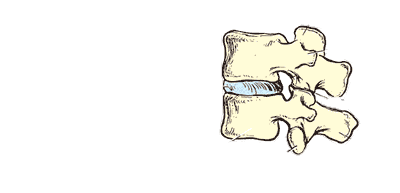 Spine Anatomy - USC Spine Center - Los Angeles