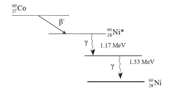 Diagram

Description automatically generated