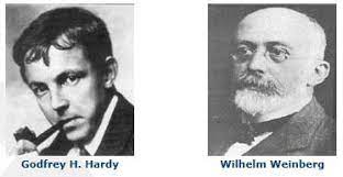 Hardy-Weinberg