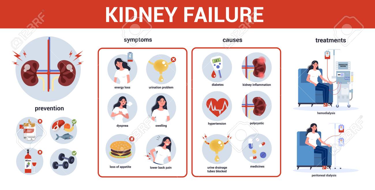 Kidney Failure Infographic. Symptoms, Causes, Prevention And.. Royalty Free  Cliparts, Vectors, And Stock Illustration. Image 140359436.