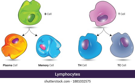 Memory Cell Images, Stock Photos &amp; Vectors | Shutterstock