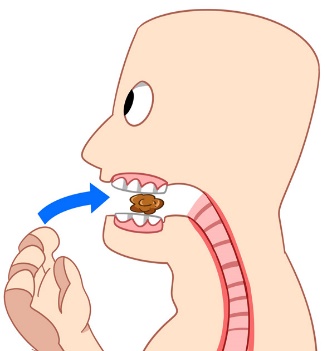 WordList - Translation of the word ingestion