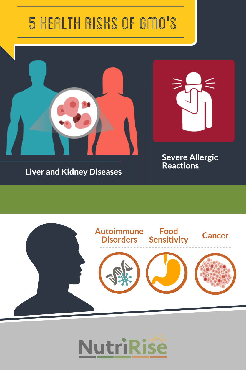 Image result for gmo health problems