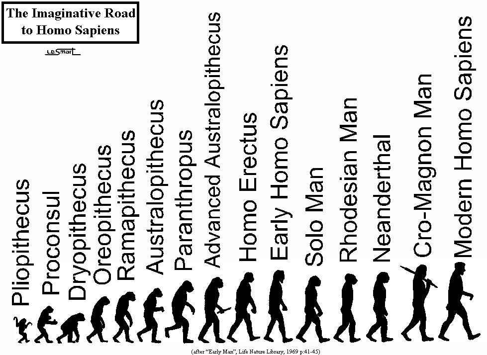 Image result for homo sapiens evolution