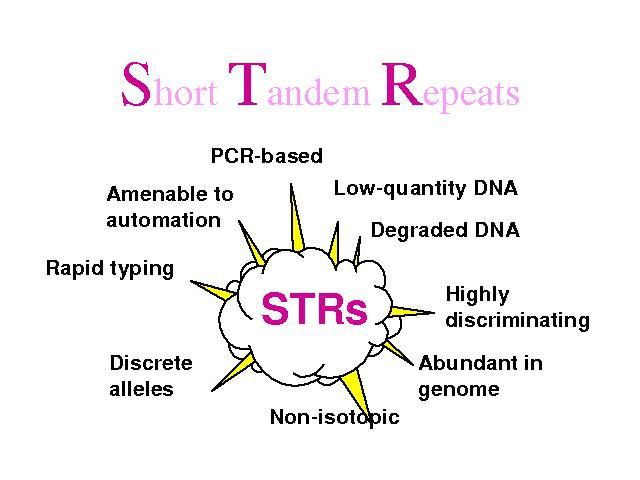 Image result for str analysis