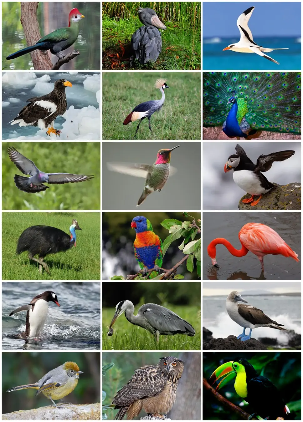 C:\Users\user\Desktop\Bird_Diversity_2013.png