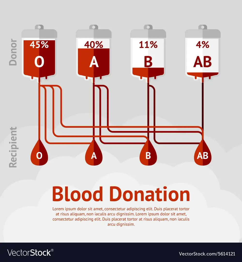 Blood donation and blood types concept scheme Vector Image
