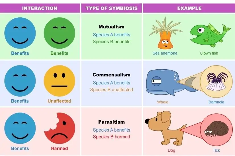 symbiosis types | Symbiotic relationships activities, Biology lessons,  Symbiosis examples
