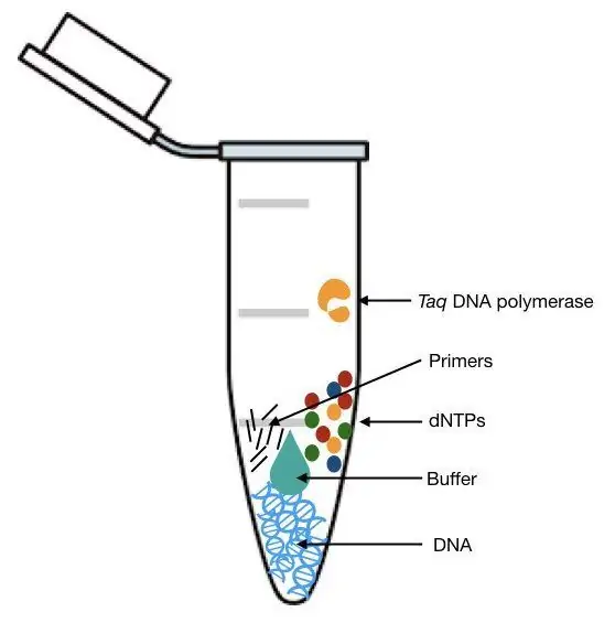 Image result for dna sequencing advantages in molecular biology